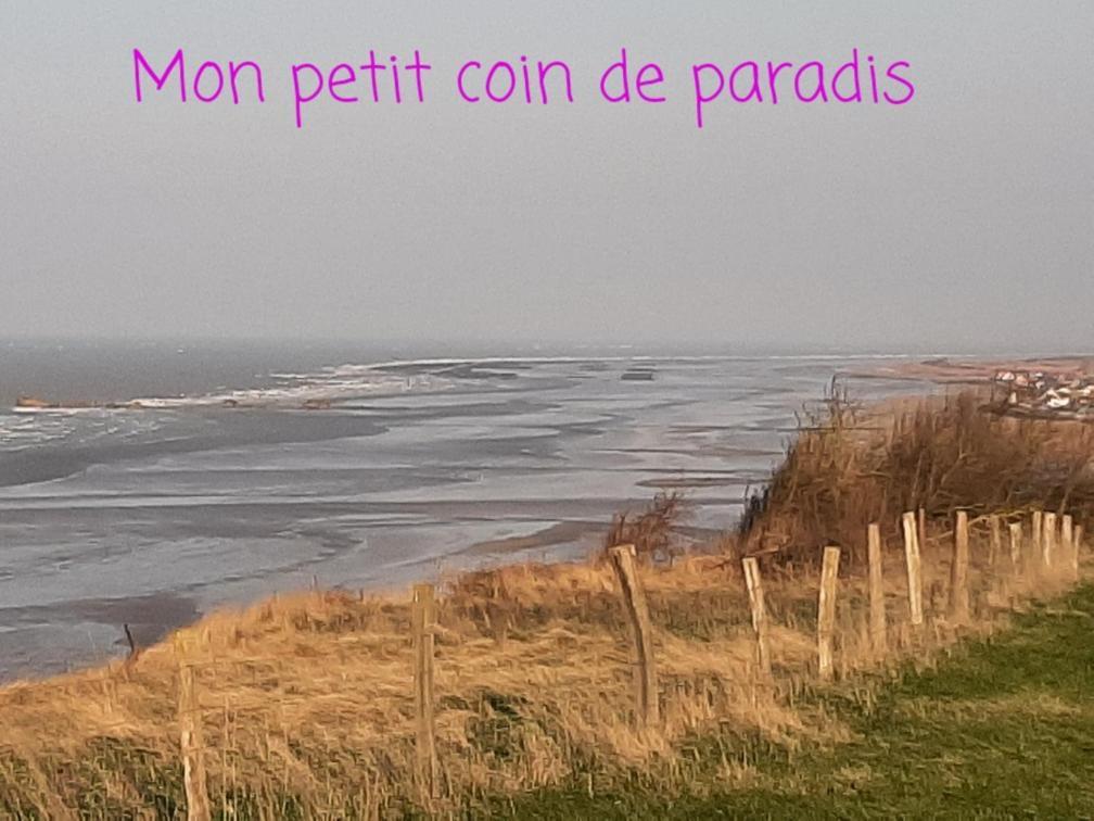Les Heures Tranquilles - Vue Mer - 50M De La Plage Saint-Côme-de-Fresné Eksteriør billede